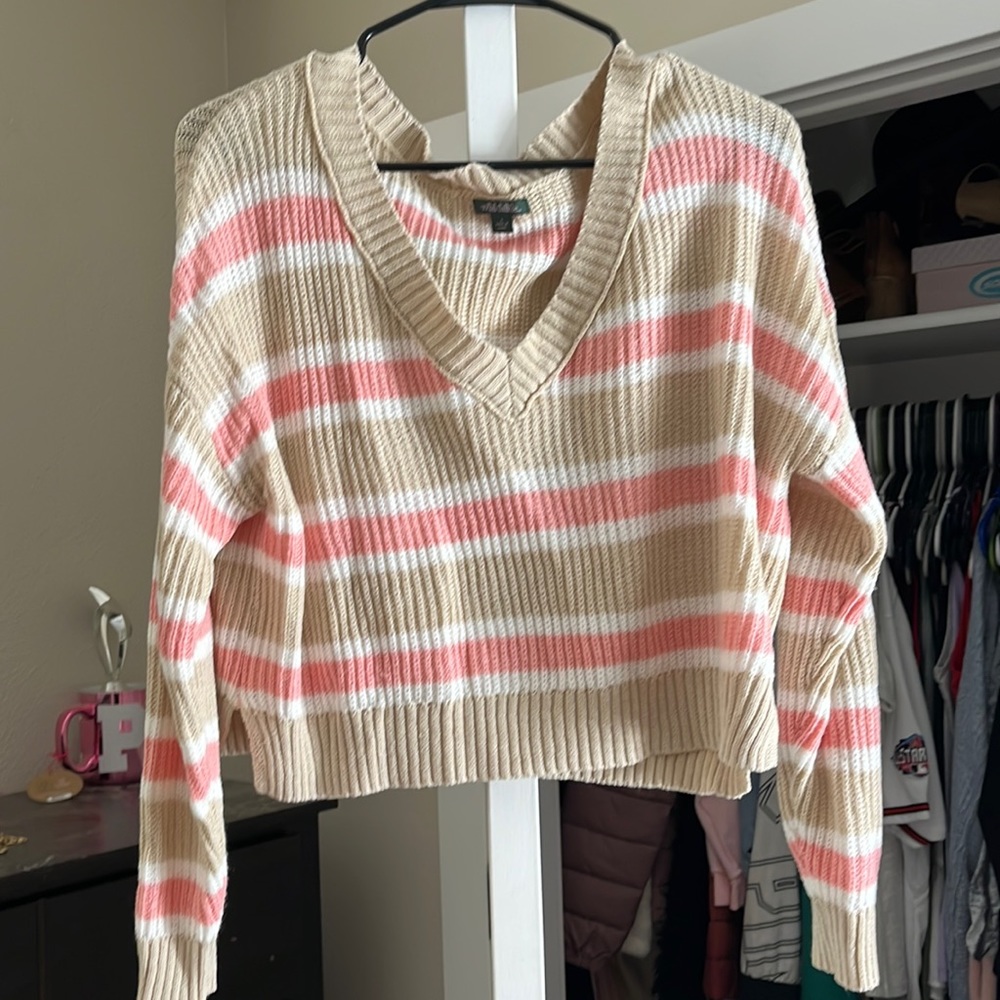 Wild fable cropped sweater